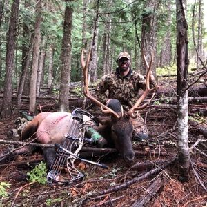 Meet your Posher, Madon